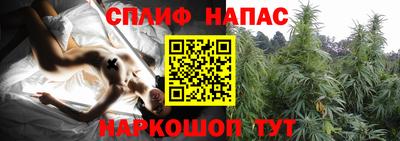 стаф Балашиха