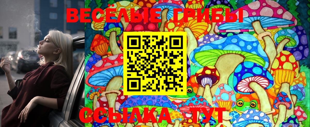 Баксан  Галлюциногенные грибы ЛСД  Галлюциногенные грибы Magic Shrooms  Вход с VPN 